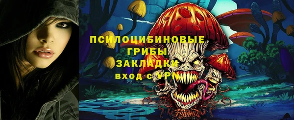 шишки Алексеевка